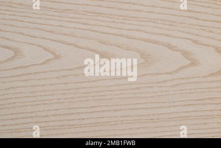 Texture of Silver Ash Tree Wood veneer Stock Photo