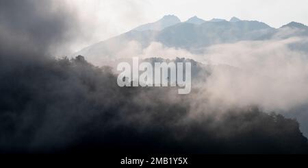 Cloud forest panorama in mist and fog at sunrise, Mindo Cloud Forest, Ecuador. Stock Photo