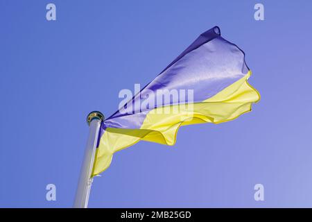 flag ukraine yellow blue Ukrainian national official on light sky background Stock Photo