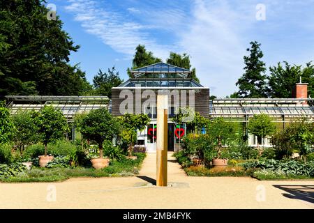 Palm house with cafe in the botanical garden, Stadtpark, Guetersloh, East Westphalia, North Rhine-Westphalia, Germany Stock Photo