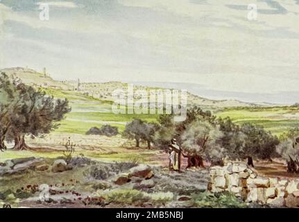 Bethlehem from the Sheepfold, Field of Boaz The town is shown on a hill. The Convent of the Nativity stands to the extreme left. Field of Boaz with green wheat in middle distance, enclosure of sheep- fold in foreground. from the book ' Letters from the Holy land ' by Elizabeth Butler, Published in London by Adam & Charles Black first published in 1903 and reprint in 1906 Stock Photo
