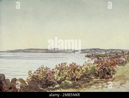 Galilee, looking from near the mouth of the Jordan towards the “ Mount of Beatitudes ” and Tabor Oleanders in flower skirting shore in foreground. Top of Mount Tabor showing over nearer mountains in distance from the book ' Letters from the Holy land ' by Elizabeth Butler, Published in London by Adam & Charles Black first published in 1903 and reprint in 1906 Stock Photo