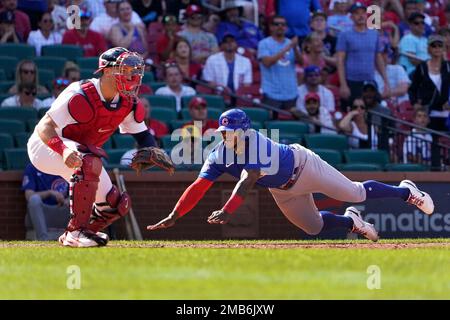 Chicago Cubs' Yan Gomes bats during a baseball game against the St. Louis  Cardinals Sunday, June 26, 2022, in St. Louis. (AP Photo/Jeff Roberson  Stock Photo - Alamy