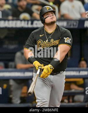 Pittsburgh Pirates designated hitter Daniel Vogelbach (19) in the