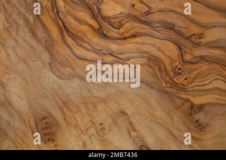 Olive wood texture background. Vintage wood. Surface of texture with natural pattern. Close up cross section of old tree texture background. Stock Photo