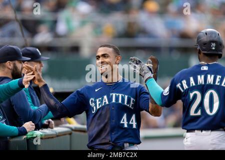 Seattle Mariners' Mitch Haniger during a baseball game against the Oakland  Athletics in Oakland, Calif., Friday, Aug. 19, 2022. (AP Photo/Jeff Chiu  Stock Photo - Alamy