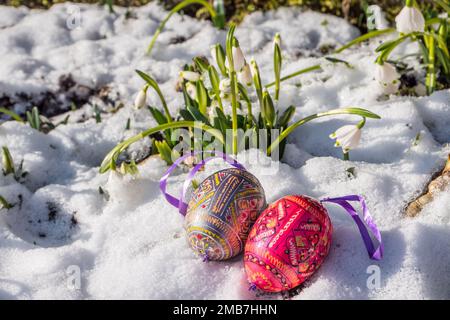 Easter eggs lie in the snow Stock Photo