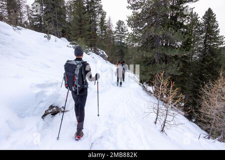 Hikers go trekking in the snow with hiking sticks during the winter holidays in the woods in the mountains. Trentino Alto Adige, Funes, South Tyrol, I Stock Photo