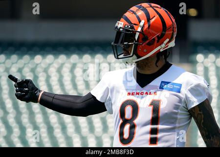 TAMPA, FL - AUGUST 14: Thaddeus Moss (81) of the Bengals runs with