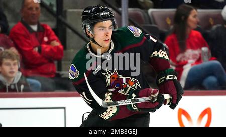 Arizona Coyotes right wing Dylan Guenther skates with the puck