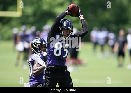 Baltimore Ravens wide receiver Shemar Bridges takes part in drills at the  NFL football team's practice facility, Wednesday, June 15, 2022, in Owings  Mills, Md. (AP Photo/Gail Burton Stock Photo - Alamy