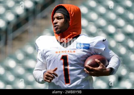 Cincinnati Bengals wide receiver Ja'Marr Chase (1) lines up for the snap  during an NFL football game against the Miami Dolphins on Thursday,  September 29, 2022, in Cincinnati. (AP Photo/Matt Patterson Stock