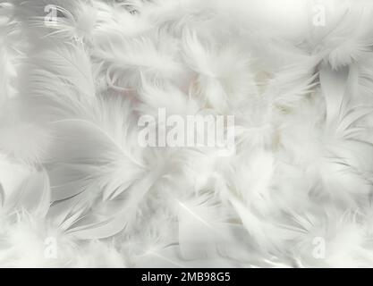 Abstract background of fluffy soft white feathers in various sizes collected in heap Stock Photo
