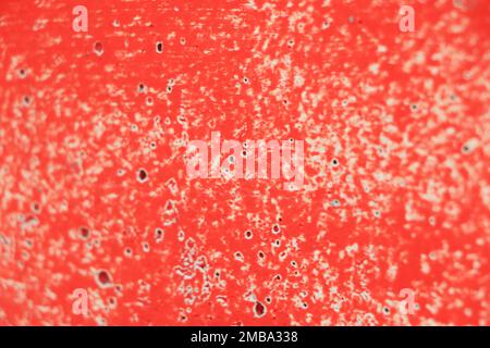 Cement Red plaster wall have rough surface concrete. For texture background images Stock Photo