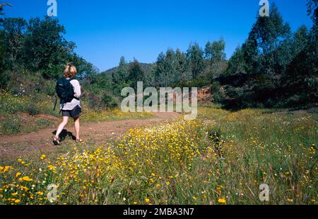 Walking in Monfrague Natural Park, Extremadura, Spain Stock Photo