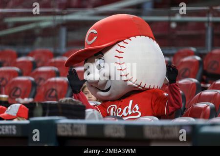 Cincinnati reds mascot hi-res stock photography and images - Alamy