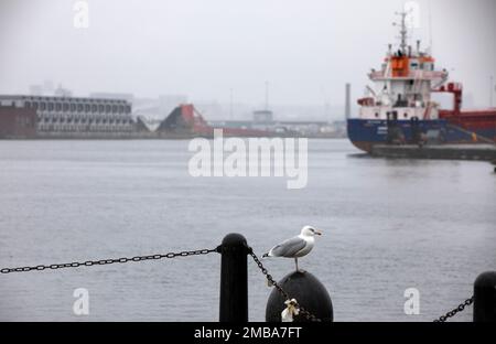 Looking across the East Float dock in Birkenhead, part of the Wirral Waters development on the banks of the river Mersey. Wirral Waters will form part of the Liverpool City Region Freeport, which was announced recently by the Conservative government. Stock Photo