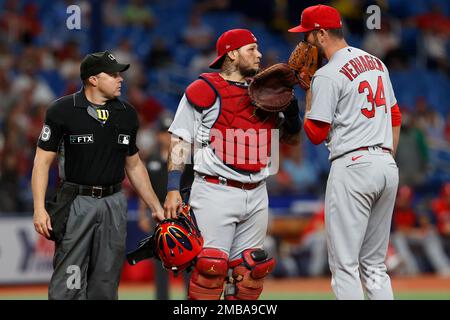 St. Louis Cardinals catcher Andrew Knizner is seen during spring training  baseball practice Monday, Feb. 22, 2021, in Jupiter, Fla. (AP Photo/Jeff  Roberson Stock Photo - Alamy