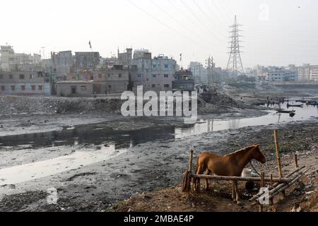 Dhaka, Bangladesh. 20th Jan, 2023. A horse is standing in the bank of a polluted canal of Burganga River in Dhaka, Bangladesh on January 20, 2023. (Credit Image: © Md. Rakibul Hasan/ZUMA Press Wire) EDITORIAL USAGE ONLY! Not for Commercial USAGE! Credit: ZUMA Press, Inc./Alamy Live News Stock Photo