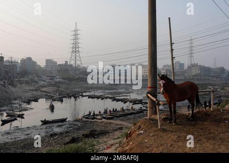 Dhaka, Bangladesh. 20th Jan, 2023. A horse is standing in the bank of a polluted canal of Burganga River in Dhaka, Bangladesh on January 20, 2023. (Credit Image: © Md. Rakibul Hasan/ZUMA Press Wire) EDITORIAL USAGE ONLY! Not for Commercial USAGE! Credit: ZUMA Press, Inc./Alamy Live News Stock Photo