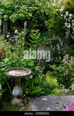 bird bath,Persicaria Bistorta,Common Bistort flowers,garden feature,RM Floral Stock Photo