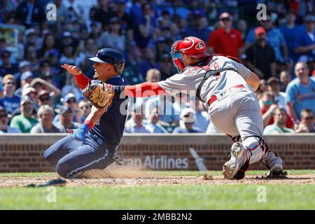 St. Petersburg, FL USA; St. Louis Cardinals catcher Andrew Knizner (7) hits  a home run during an MLB game against the Tampa Bay Rays on Thursday, Augu  Stock Photo - Alamy