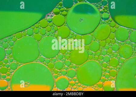 Liquid bubbles , macro bubbles in various colors, abstract backgrounds, oil beauty and science concept background Stock Photo