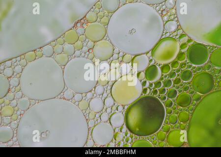 Liquid bubbles , macro bubbles in various colors, abstract backgrounds, oil beauty and science concept background Stock Photo