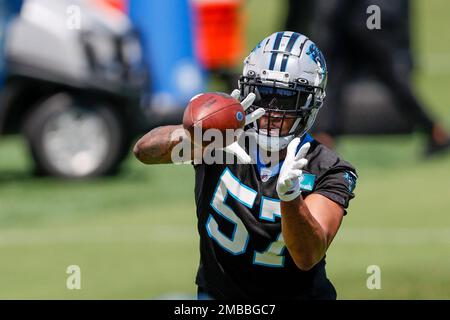 Carolina Panthers linebacker Damien Wilson watches during the