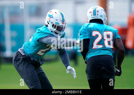 Miami Dolphins cornerbacks Elijah Hamilton and (33) Xavien Howard