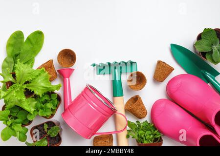 Gardening spring plants tools. Top view of the table. Stock Photo