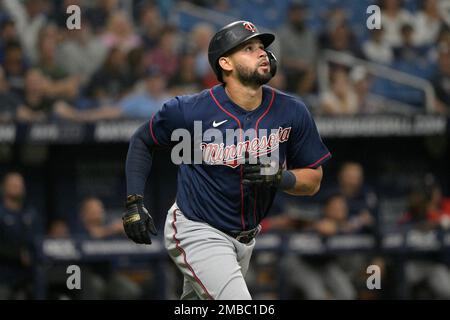 St. Petersburg, FL. USA; Minnesota Twins catcher Gary Sanchez (24) checks  his game card between batters during a major league baseball game against t  Stock Photo - Alamy