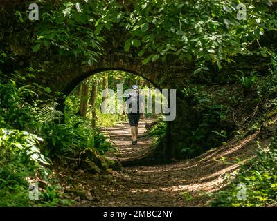 Walker on footpath through single arch stone and brick bridge over old trackway in Ticknall Limeyards, Derbyshire, England, UK. Stock Photo