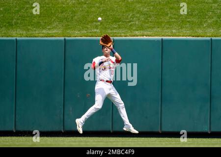 Milwaukee Brewers' Rowdy Tellez watches a home run during a baseball game  against the Tampa Bay Rays Wednesday, June 29, 2022, in St. Petersburg,  Fla. (AP Photo/Steve Nesius Stock Photo - Alamy