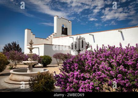 Purple flowers line the side of the Socorro Mission, on the El Paso Mission Trail, in Socorro, Texas. Stock Photo