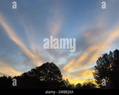Dramatic morning sky clouds above trees silhouette background Stock Photo