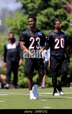 Cincinnati Bengals' Dax Hill participates in a drill during an NFL ...