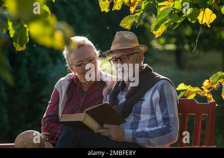 Cute senior couple sitting on bench in park and reading book together Stock Photo