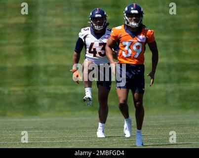 Minnesota Vikings tight end Zach Davidson (40) runs against the Denver  Broncos during an NFL preseason football game, Saturday, Aug. 27, 2022, in  Denver. (AP Photo/Jack Dempsey Stock Photo - Alamy