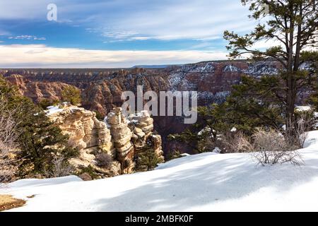 Grand Canyon view after recent snowstorm. Fresh white snow layered in foreground; Hoodoos and canyon wall dusted white in background. Stock Photo