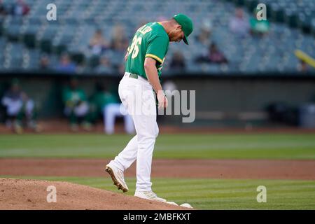 2022 Los Angeles Angels Player Reviews: Chad Wallach