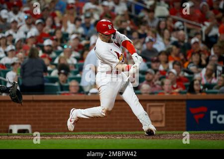 St. Petersburg, FL USA; St. Louis Cardinals catcher Andrew Knizner (7) hits  a home run during an MLB game against the Tampa Bay Rays on Thursday, Augu  Stock Photo - Alamy