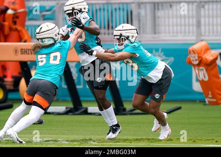 Cameron Goode - Athlete - Miami Dolphins and Hard Rock Stadium