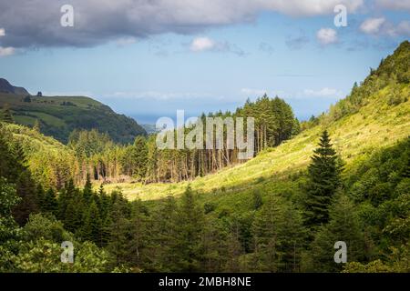 Queen of the Glens, Glenariff Forest Park, Co. Antrim, Northern Ireland Stock Photo