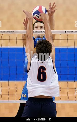 Bryce Dvorak - Men's Volleyball - Pepperdine University Athletics