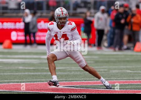 Ohio State defensive back Ronnie Hickman plays in an NCAA college ...