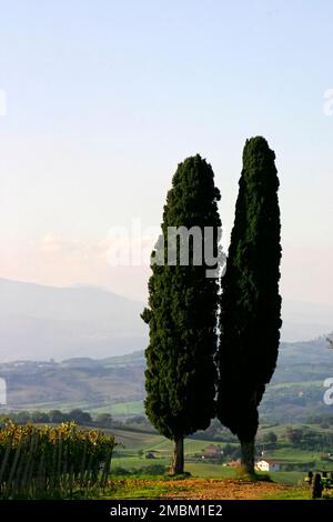 Two Cypress trees with view over Tuscany landscape, Italy Stock Photo