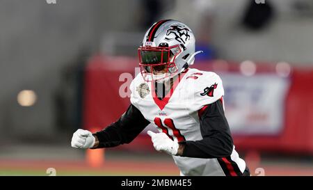 Ravens legend Jordan Lasley selected to USFL Tampa Bay Bandits : r