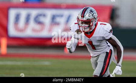 Ravens legend Jordan Lasley selected to USFL Tampa Bay Bandits : r