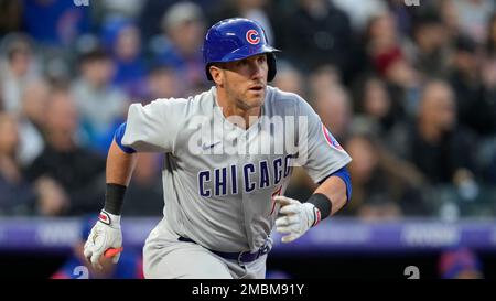 Chicago Cubs catcher Yan Gomes (7) plays in a game against the San  Francisco Giants during a MLB spring training baseball game, Saturday, Mar  19, 2022, in Scottsdale, Ariz. (Chris Bernacchi/Image of